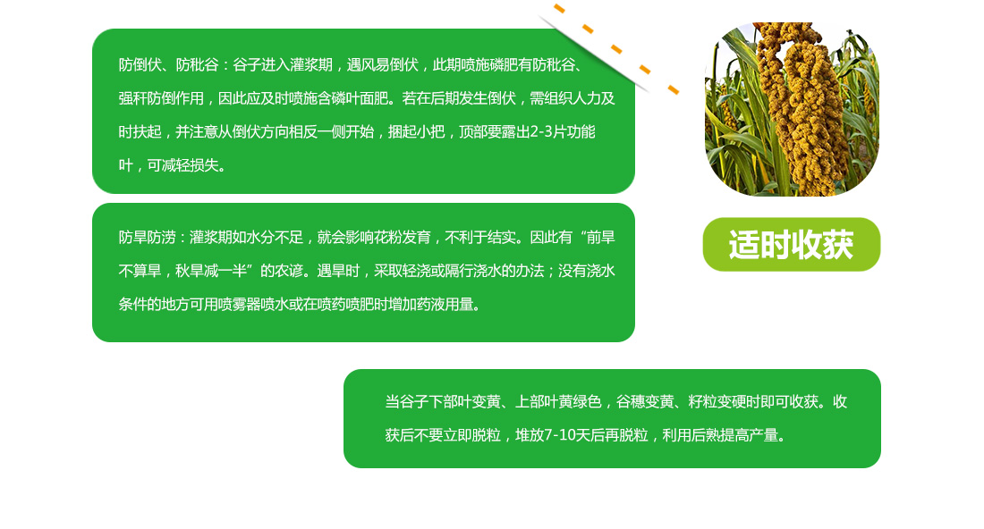 def4a1b6765f3e3150515dfccae3eb54.jpg